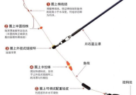 李保安无钩调漂法,钓鱼技巧中的科学奥秘