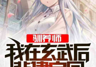 怜怜小说,穿越时空的救赎之旅