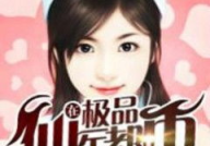极品仙医,极品仙医的传奇之旅