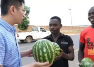 美国华人网红吃瓜事件,真相与争议交织