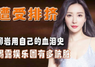 娱乐圈血泪史,揭秘明星背后的心酸历程