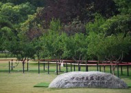 欣欣旅游网官方网站山水相连 心手相牵——中国中亚共绘丝路新画卷