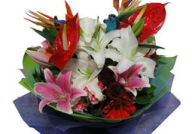 吉林鲜花,春意盎然，花海飘香