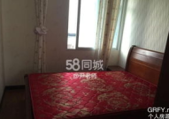 白鹤房屋出租,宜居环境与多元选择一览”