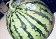 湖北网红吃瓜,揭秘网络热点的背后故事