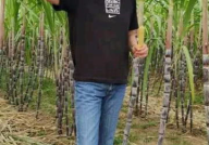 郎平卸任后首晒退休生活,农场削甘蔗展现退休生活惬意时光