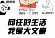 文豪娱乐家笔趣阁,揭秘网络文学世界的魅力与奥秘
