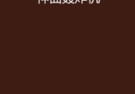 五月天小说,摇滚旋律中的青春记忆