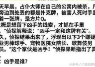 阳木阴火的女孩名字大全四个字是什么,四字佳名彰显独特气质